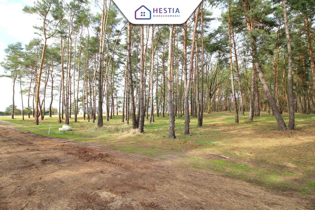 dom wolnostojący, 5 pokoi Dobra. Zdjęcie 2