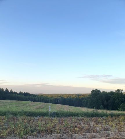 Działka rolno-budowlana Zaborowo. Zdjęcie 1