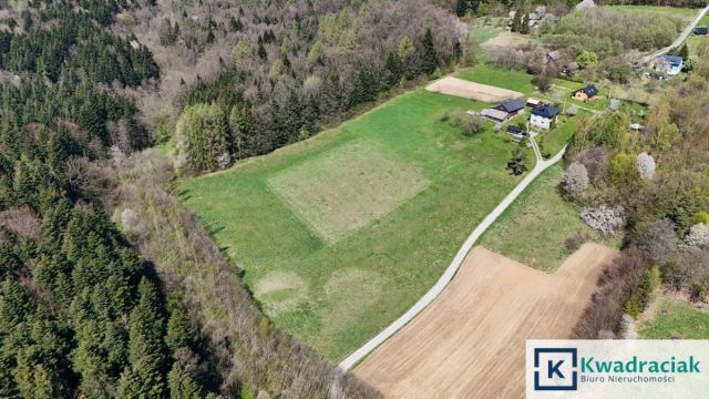 Działka budowlana Niepla. Zdjęcie 7