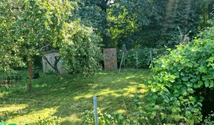 Działka rod Brzeg, ul. Małujowicka