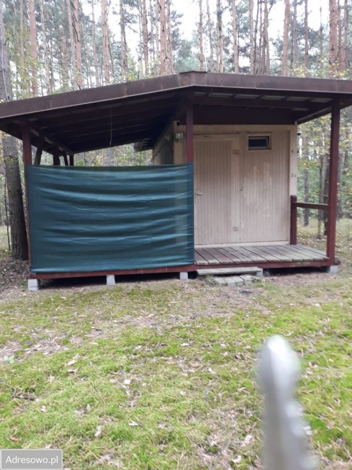 Działka leśna Cyganówka. Zdjęcie 5