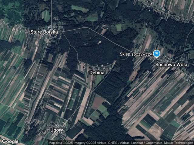 Działka leśna Dębina. Zdjęcie 1