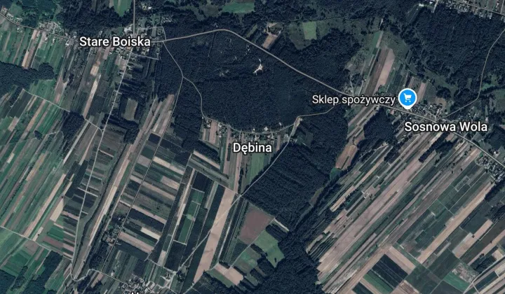 Działka leśna Dębina
