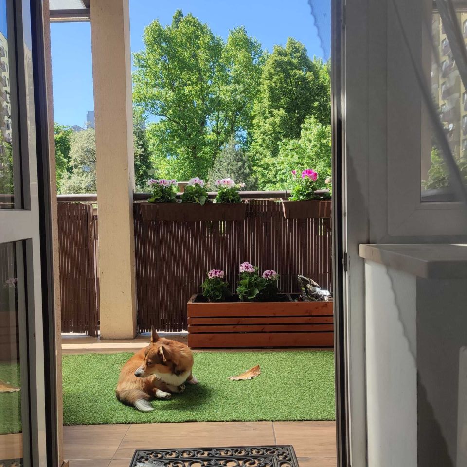 Mieszkanie 3-pokojowe Kraków Czyżyny, os. 2 Pułku Lotniczego. Zdjęcie 6