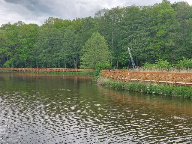 Działka siedliskowa Tworzyjanki, Tworzyjanki. Zdjęcie 1