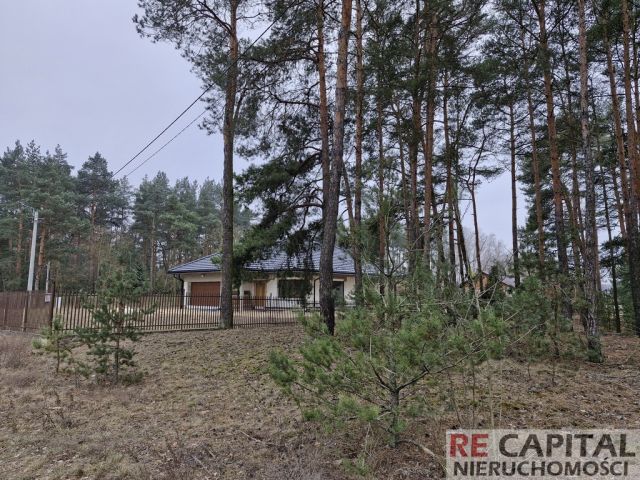 Działka inwestycyjna Adelin. Zdjęcie 2