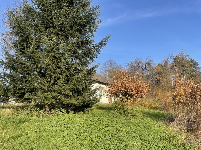 dom wolnostojący Piątkowa, Lwowska. Zdjęcie 6