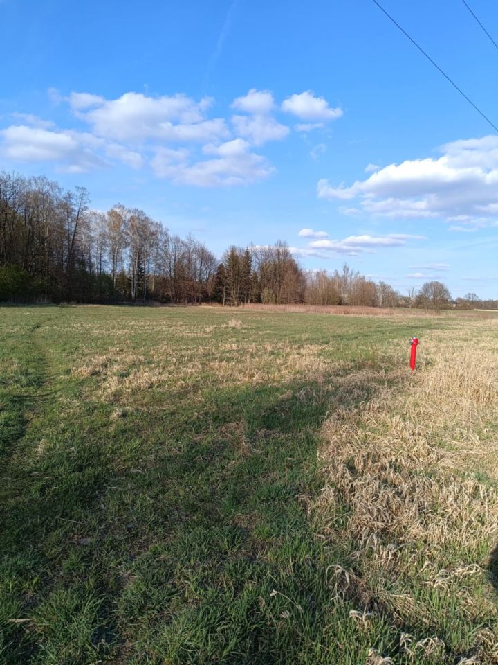 Działka budowlana Wielgolas Brzeziński, ul. Niezapominajki. Zdjęcie 4