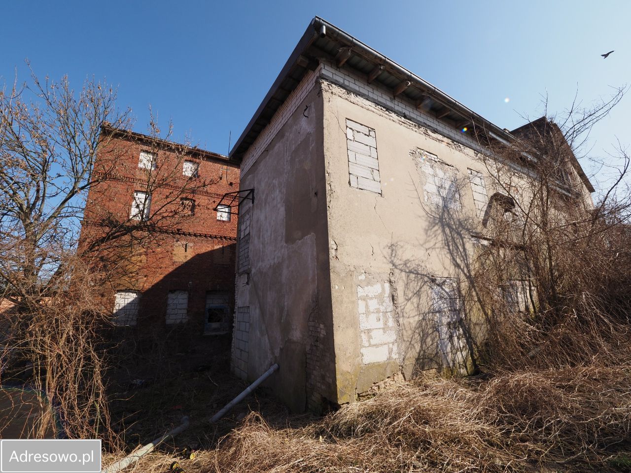 Lokal Wałcz Centrum, ul. Sienkiewicza. Zdjęcie 6