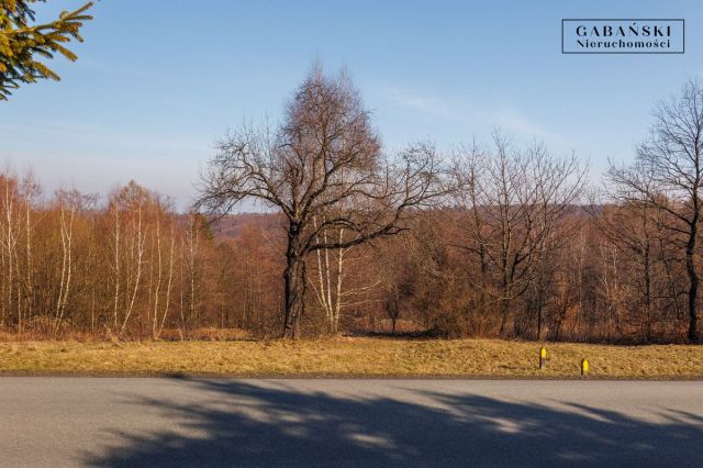 Działka rolno-budowlana Dąbrówka Szczepanowska. Zdjęcie 9