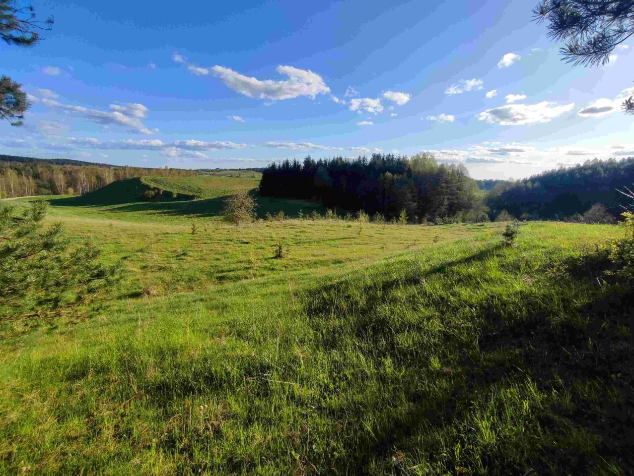 Działka siedliskowa Osinki. Zdjęcie 6