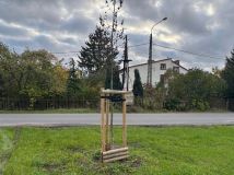 dom wolnostojący Gorzów Wielkopolski, ul. Sulęcińska. Zdjęcie 3