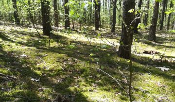 Działka budowlana Kwiatkowice-Las, ul. Jabłoniowa