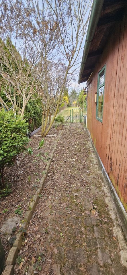 Działka rod Odrano-Wola, ul. Niedźwiedzia. Zdjęcie 5