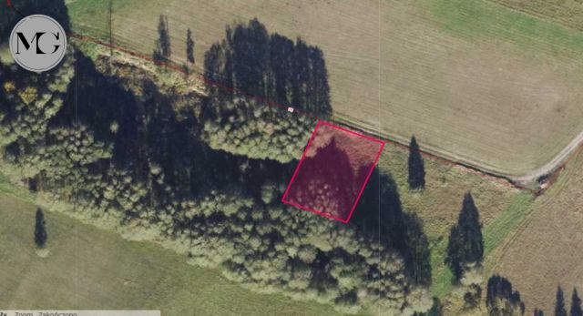 Działka budowlana Kobylarnia. Zdjęcie 1