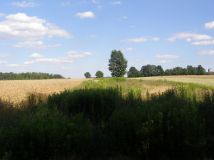 Działka rolna Łukawica. Zdjęcie 4