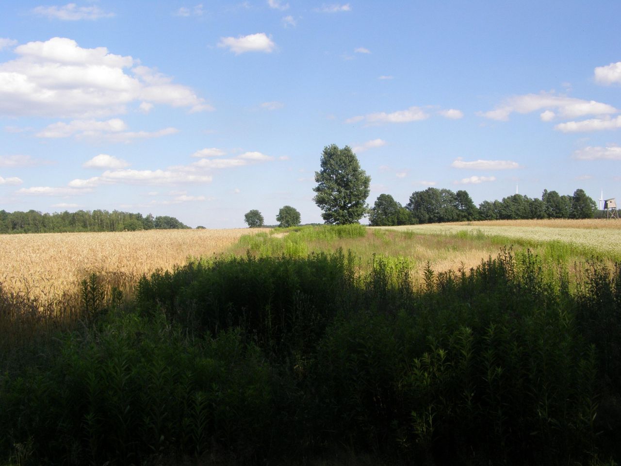 Działka rolna Łukawica. Zdjęcie 5