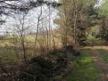 Działka rolna Karnkowo. Zdjęcie 1