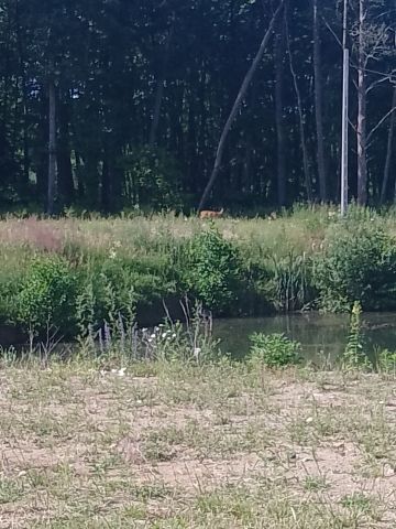 Działka budowlana Bydgoszcz Plątnowo, ul. Plątnowska. Zdjęcie 1