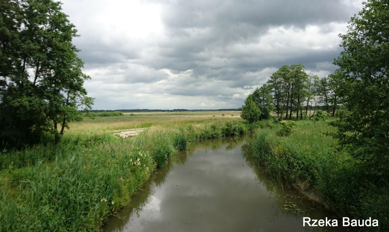 Działka rekreacyjna Różaniec. Zdjęcie 4