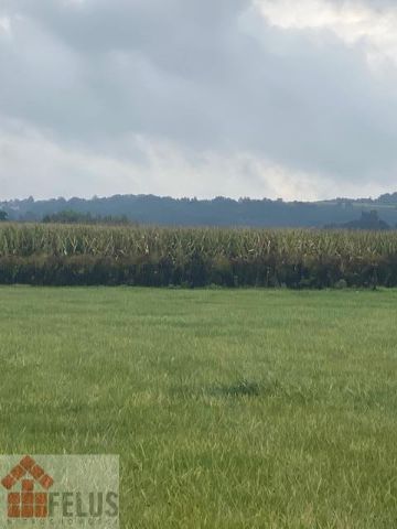 Działka inwestycyjna Rybna, ul. Storczykowa. Zdjęcie 5