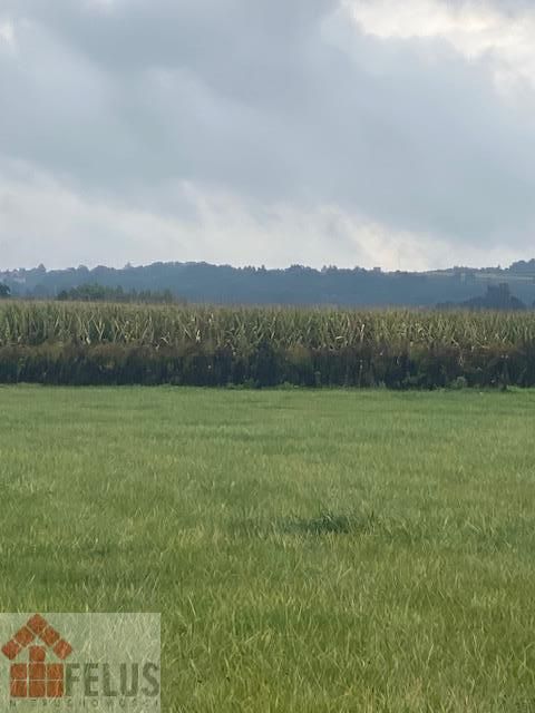 Działka inwestycyjna Rybna, ul. Storczykowa. Zdjęcie 5