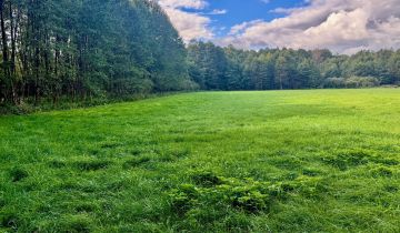 Działka rolna Nitki