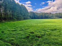 Działka rolna Nitki. Zdjęcie 1