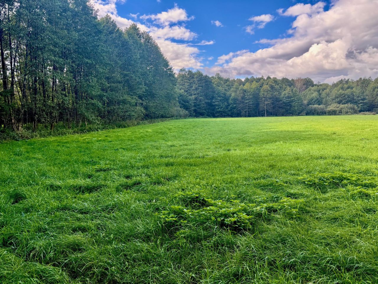 Działka rolna Nitki. Zdjęcie 2