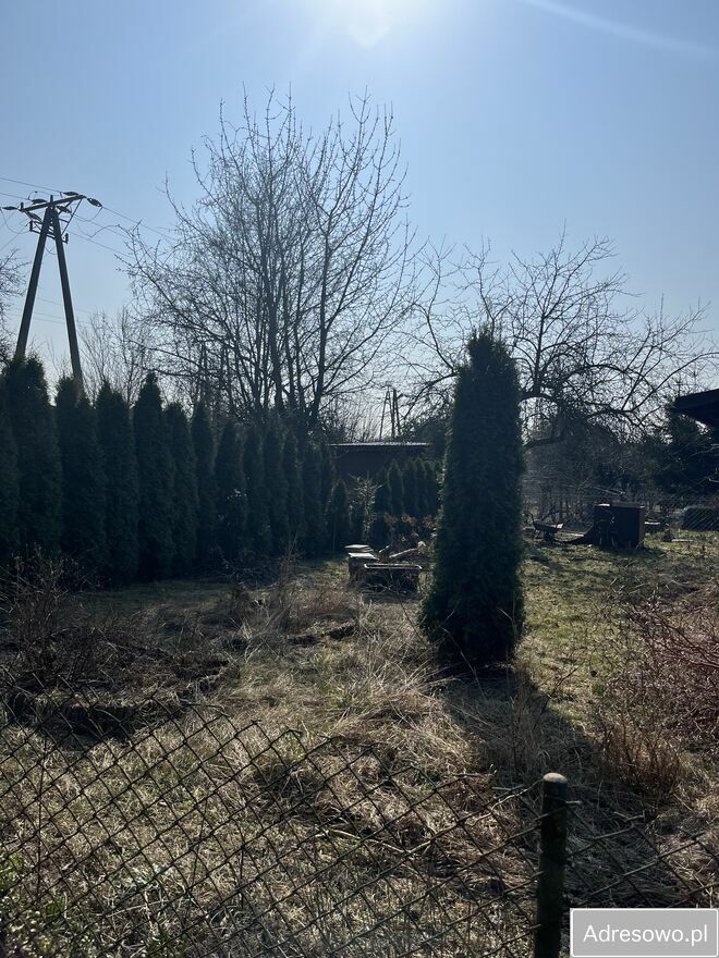 Działka rod Łomianki. Zdjęcie 6