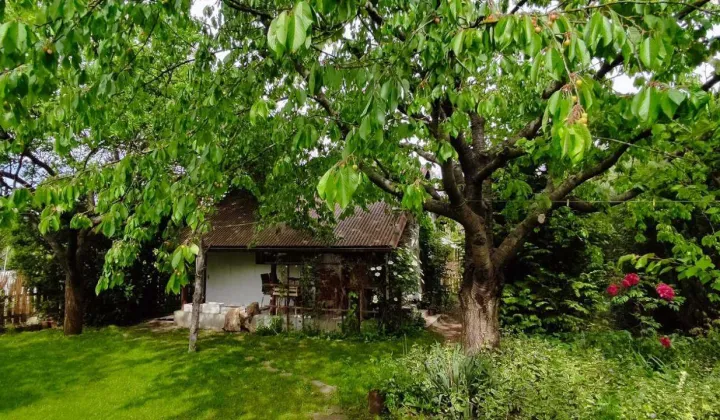 Działka rod Poznań Naramowice, ul. Miętowa