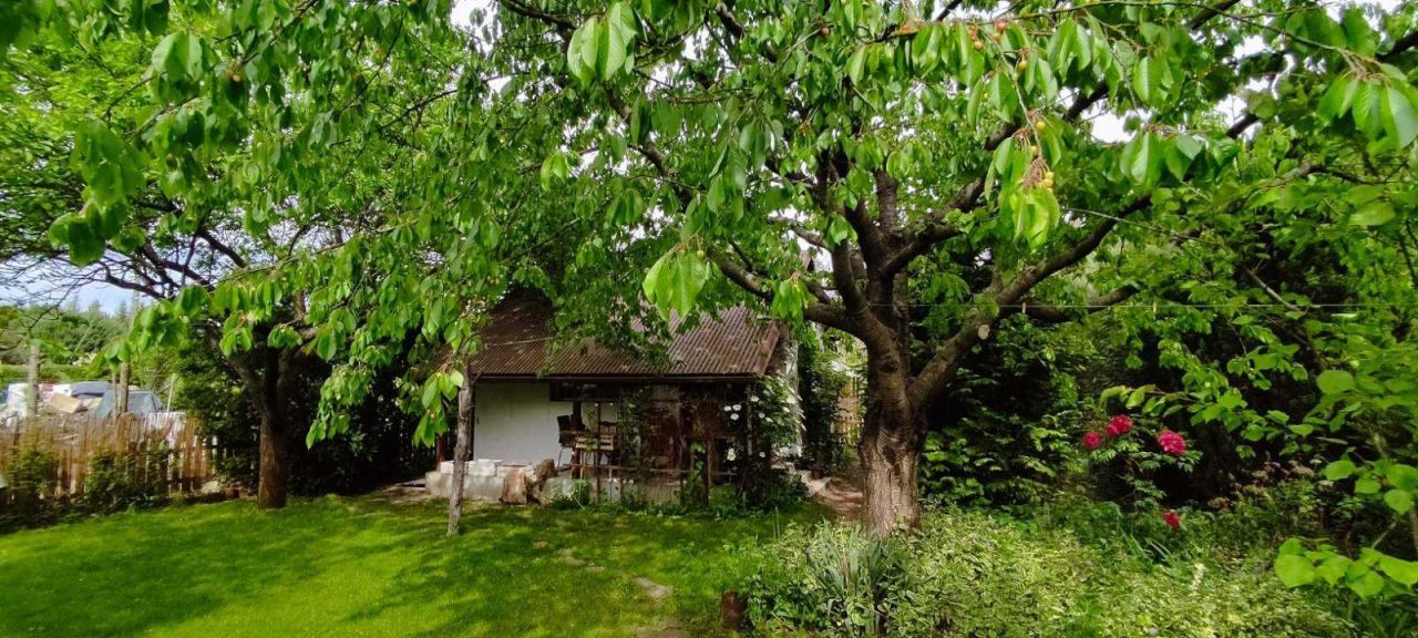 Działka rod Poznań Naramowice, ul. Miętowa. Zdjęcie 1