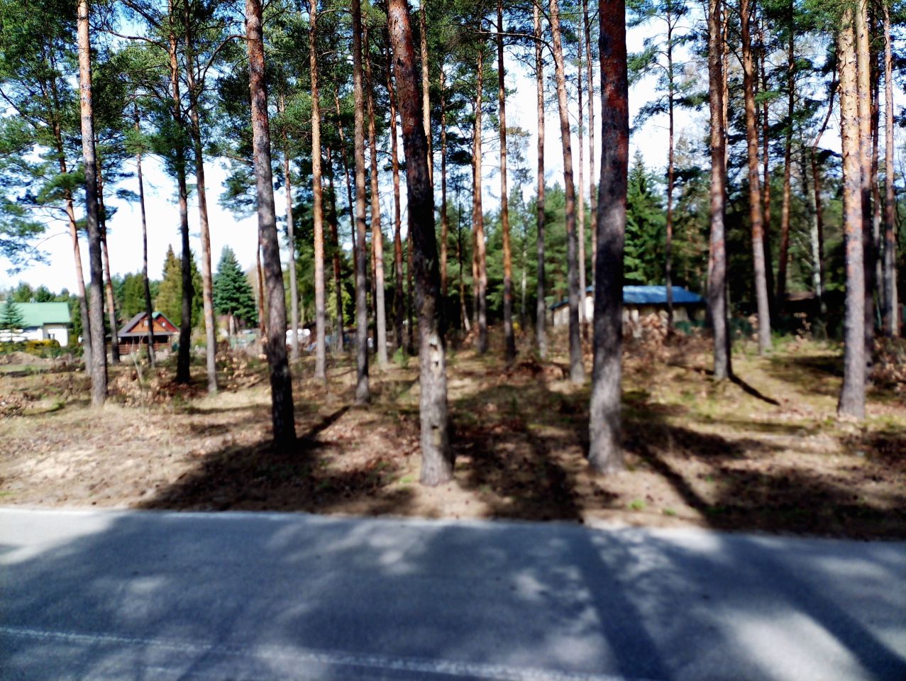 Działka budowlana Marynino, Sosnowa. Zdjęcie 18