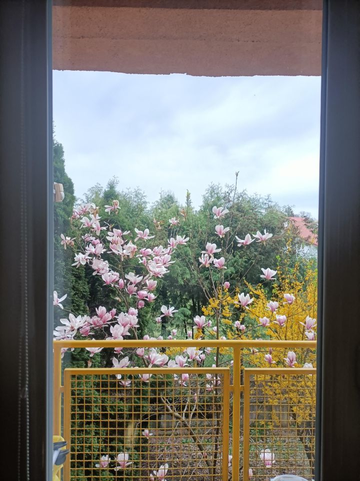 Mieszkanie 3-pokojowe Kraków Dębniki, ul. Lubostroń. Zdjęcie 4