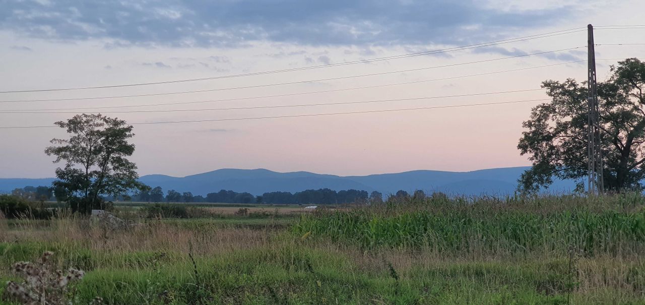 Działka budowlana Uciechów, ul. Wylotowa. Zdjęcie 3