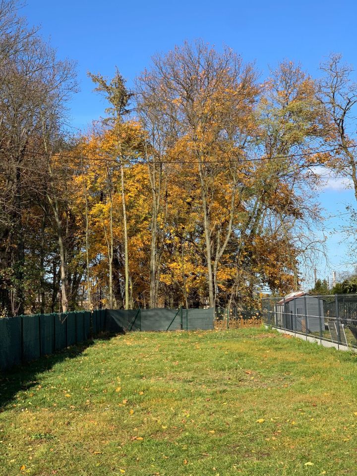 dom wolnostojący Domaszowice. Zdjęcie 7