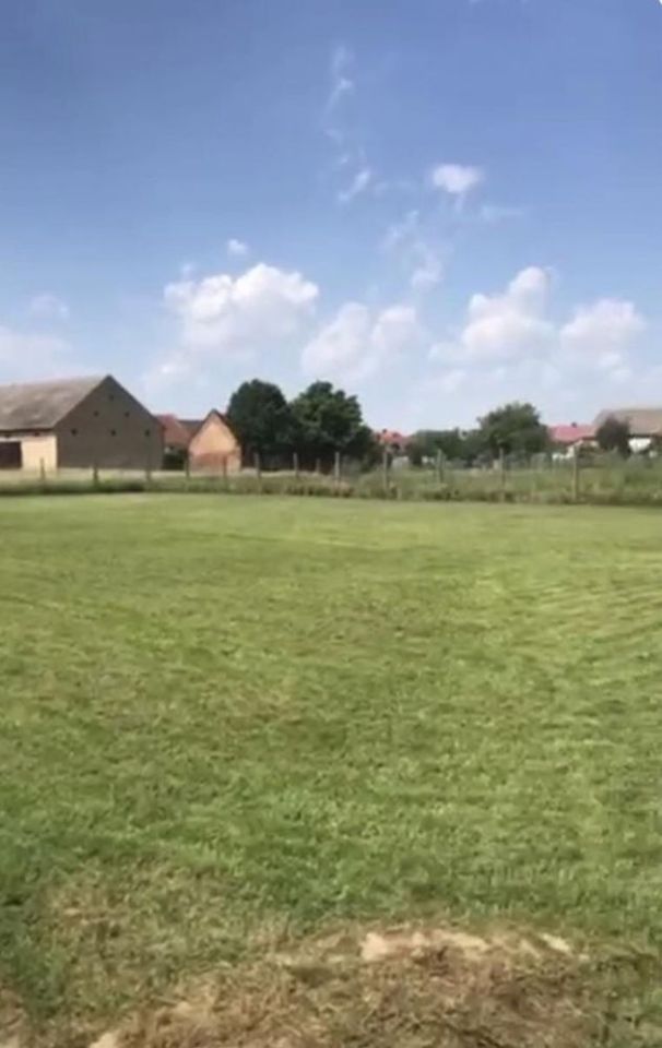 Działka budowlana Lipowa. Zdjęcie 5