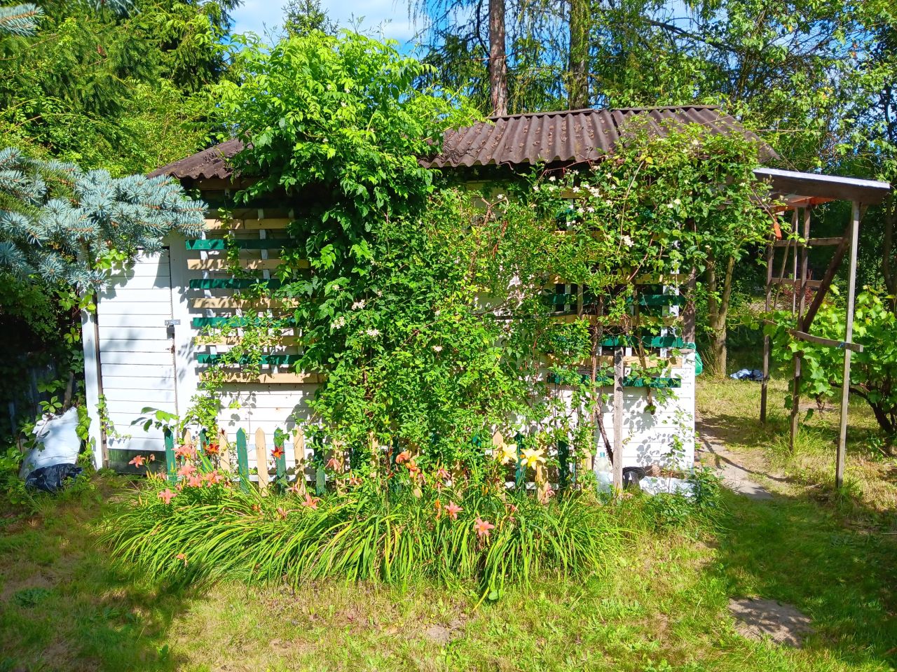 Działka rod Balice, ul. Sportowa
