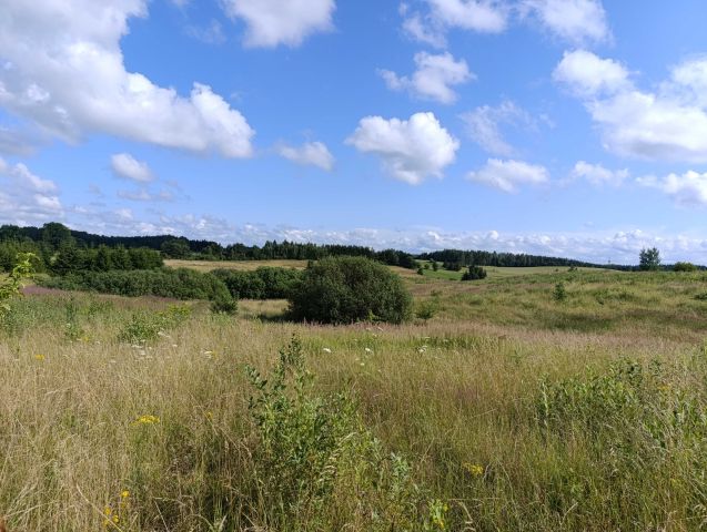 Działka rolna Zerbuń. Zdjęcie 1