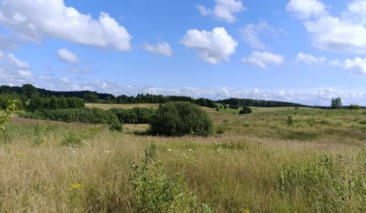 Działka rolna Zerbuń