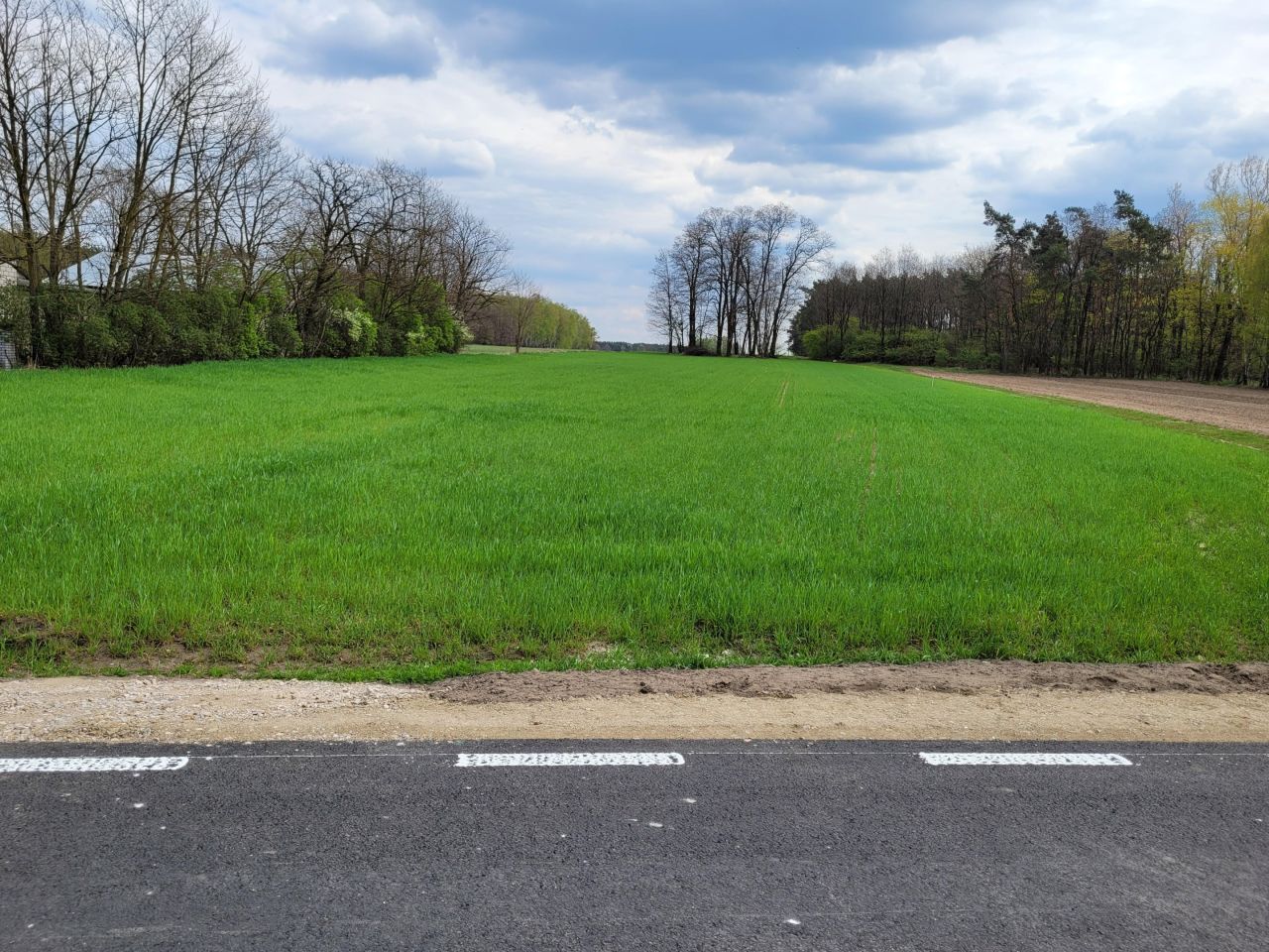 Działka budowlana Marcinów. Zdjęcie 4
