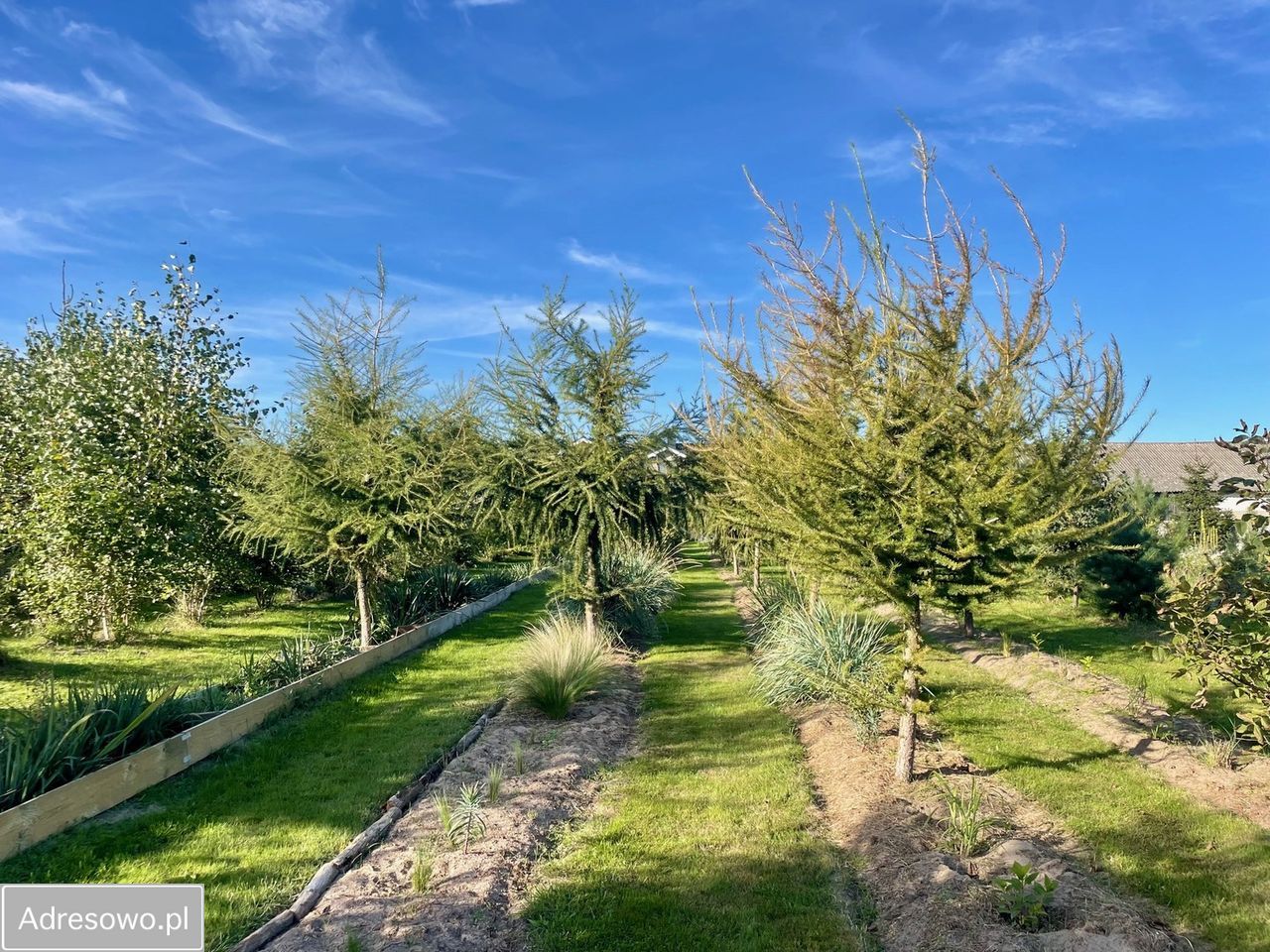 dom wolnostojący, 6 pokoi Krzepczów. Zdjęcie 3