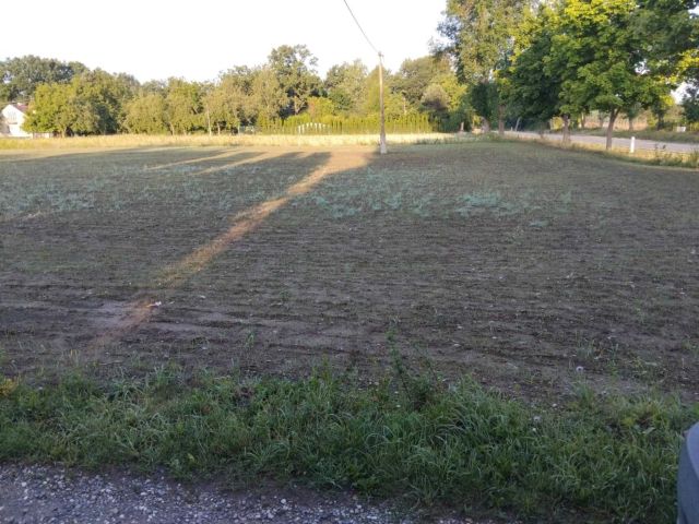 Działka budowlana Kikoły. Zdjęcie 1