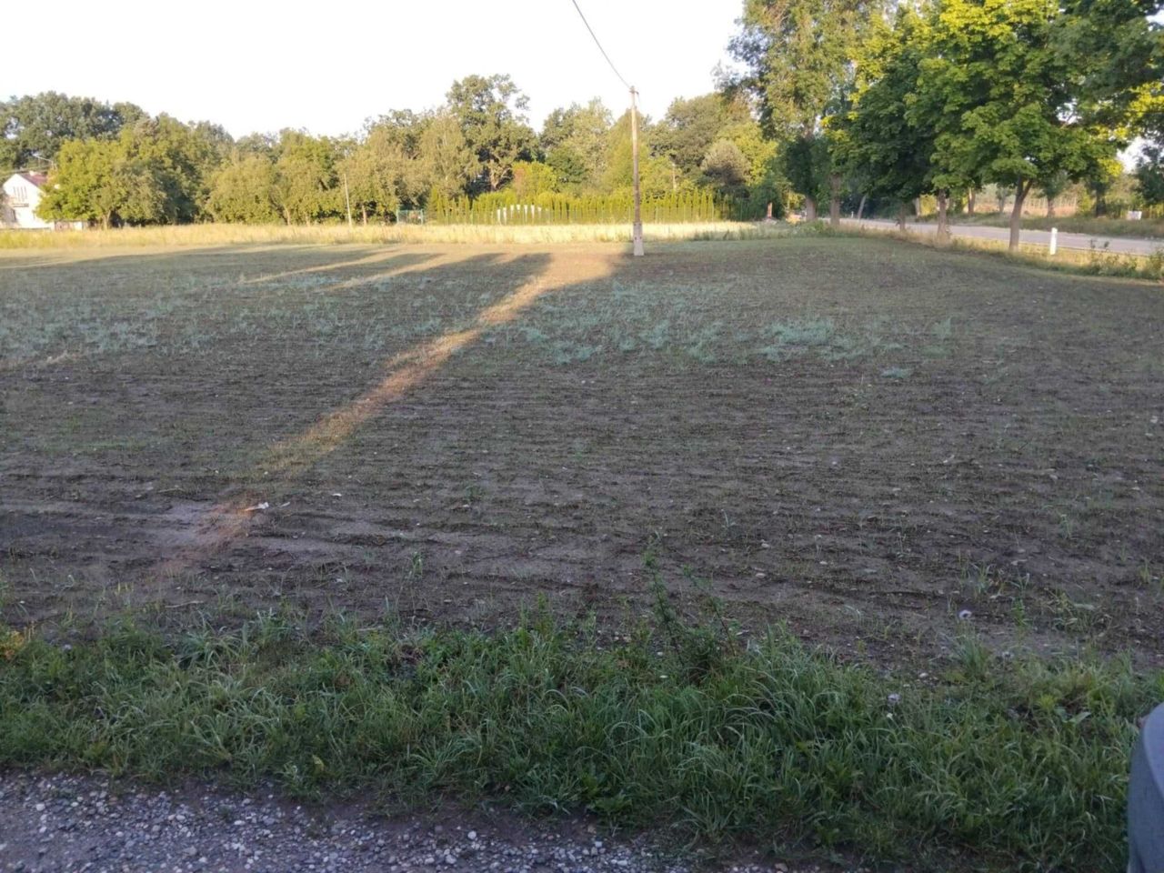 Działka budowlana Kikoły. Zdjęcie 1