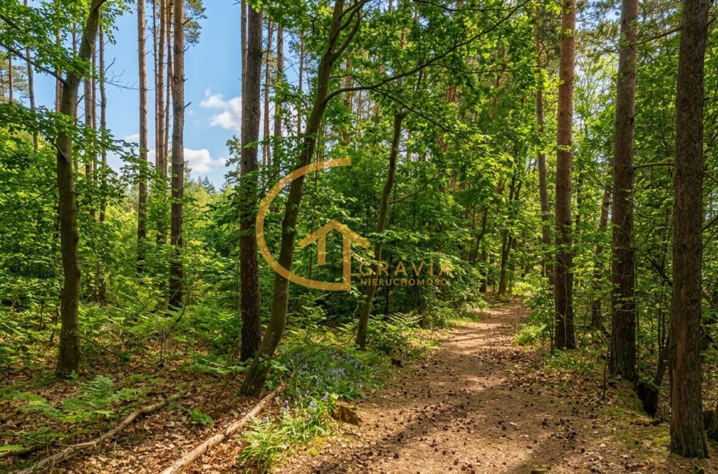 Działka budowlana Przetoczyno, ul. Sami Swoi. Zdjęcie 7