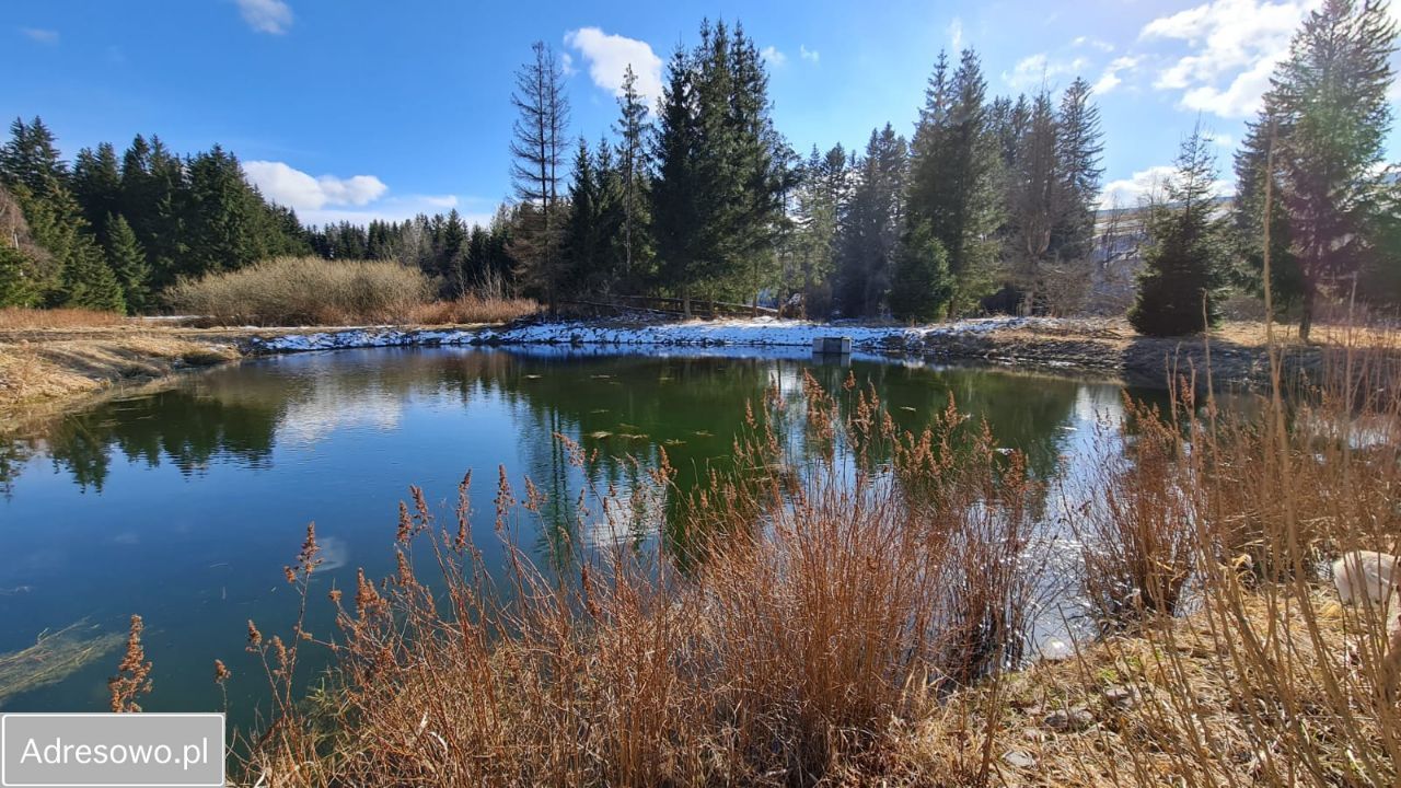 Działka rekreacyjna Piaskowice. Zdjęcie 10