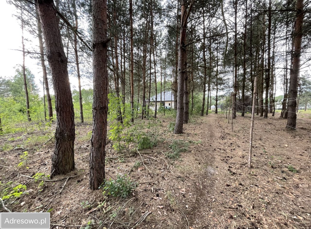Działka budowlana Łubno. Zdjęcie 5