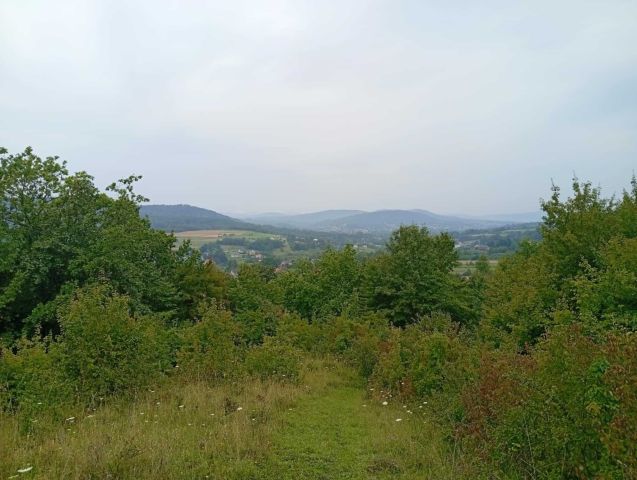 Działka rolna Domaradz. Zdjęcie 1