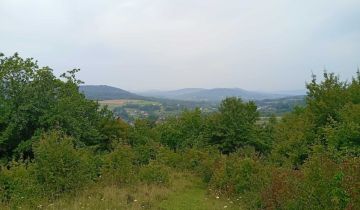 Działka rolna Domaradz