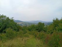 Działka rolna Domaradz